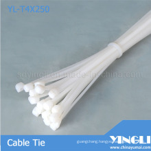 Plastic Nylon Cable Ties (YL-T4X250)